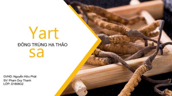 ế hoạch Digital Marketing Đông Trùng Hạ Thảo