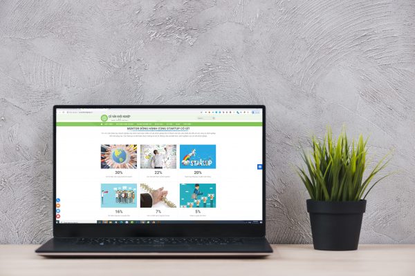 Cố vấn khởi nghiệp